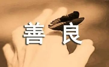老年友善医疗机构的年度工作计划7篇