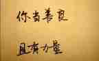 善文化的心得体会模板5篇