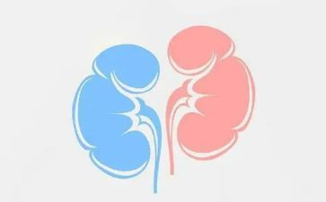 肾内科护士年终工作总结通用6篇