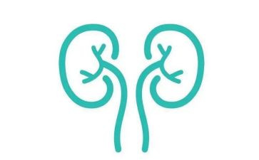 护士肾内科个人总结5篇