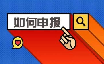 个人申报工作总结5篇