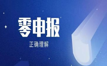 申报项目工作总结6篇
