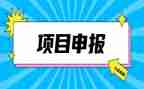 申报教师一级述职报告8篇
