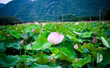 生活中自我鉴定参考6篇