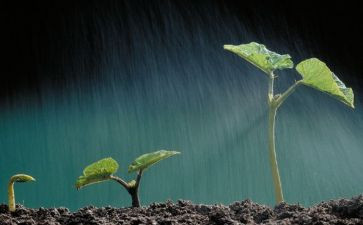 读生命水读后感7篇