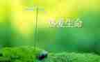 读生命水读后感精选8篇