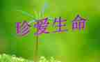 以感悟生命的作文600字7篇