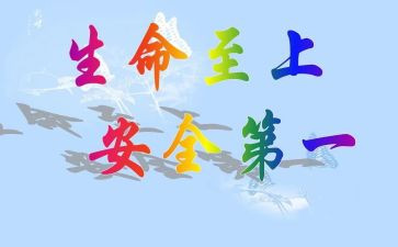 生命至上安全至上心得最新6篇