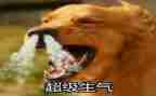 别生气了小作文5篇