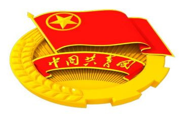 省团代表发言稿范文推荐8篇