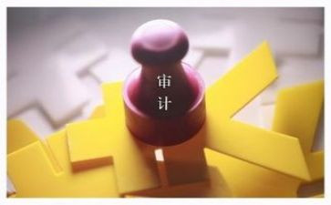 个人半年度审计工作总结7篇