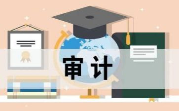 内部工作审计工作计划模板7篇