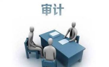 2024审计年终总结最新7篇