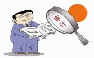 审计半年工作总结个人7篇