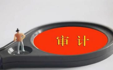 内部工作审计工作计划最新6篇