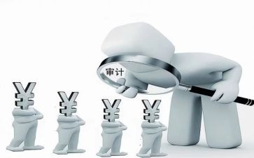 年度审计工作总结6篇