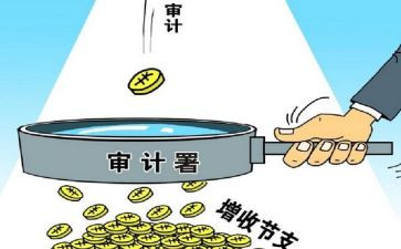 审计工作总结和计划6篇