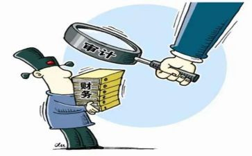 财务审计股工作总结精选5篇