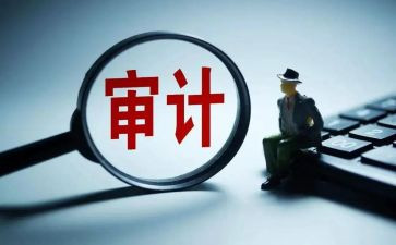 审计年终总结6篇