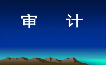 审计员的工作计划最新7篇