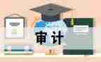 审计办工作总结精选6篇