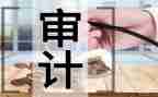 医院审计述职报告8篇