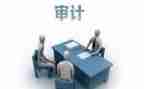 2024审计年终总结最新7篇
