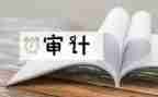 审计员的工作计划5篇