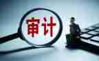 审计年终总结6篇