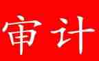 审计工作述职报告5篇