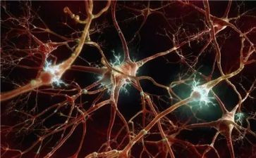 2024神经内科述职报告范文7篇