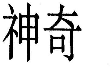 神奇的校车读书心得5篇