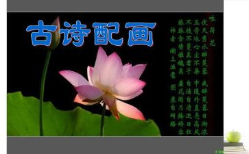 儿童诗教学反思6篇
