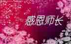 厨师证是厨师长工作总结7篇