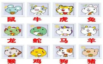 十二生肖教案模板7篇