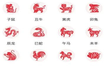 幼儿十二生肖的教案优质8篇