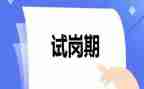 测试岗工作总结7篇