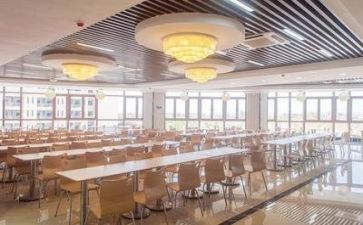 找食堂工作总结模板8篇