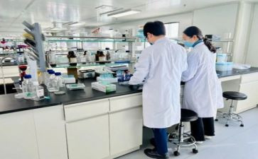 肾实验的心得体会推荐6篇