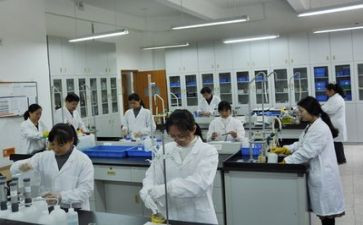 肾实验的心得体会模板7篇