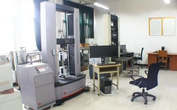 试验期工作总结模板8篇