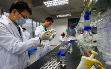 试验年终工作总结8篇