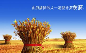 培训的收获和心得体会7篇