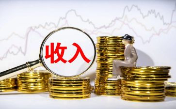 关于收入的调查报告5篇