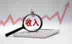 关于农民收入的调查报告8篇