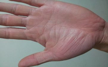 手掌树教案通用8篇