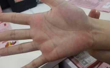 手掌树教案8篇