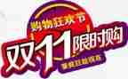 双11销售活动总结精选5篇