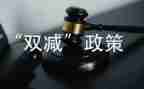 双减工作计划精选5篇
