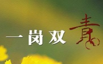 一岗双责述职述廉报告5篇